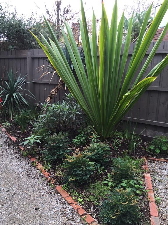 Garden Cottage St Kilda Melbourne Exterior photo